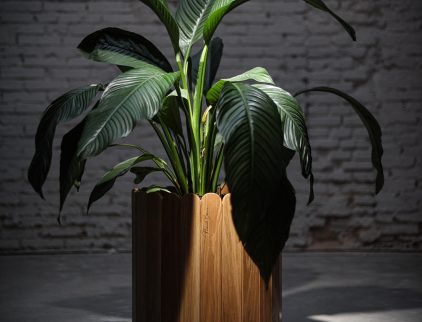 Post-image-#3